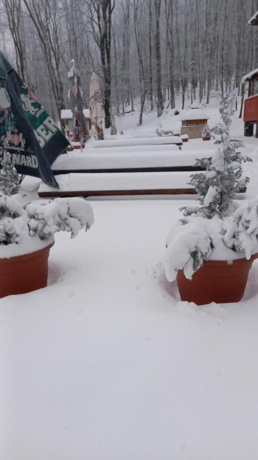 Chata Korenný vrch Pezinská Baba Pezinok Exterior foto