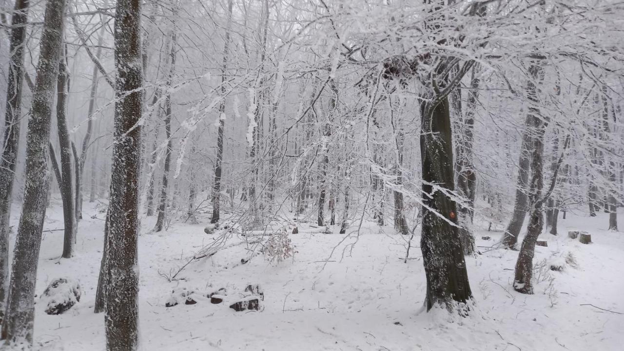 Chata Korenný vrch Pezinská Baba Pezinok Exterior foto