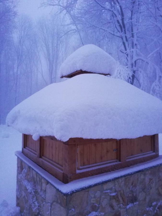 Chata Korenný vrch Pezinská Baba Pezinok Exterior foto