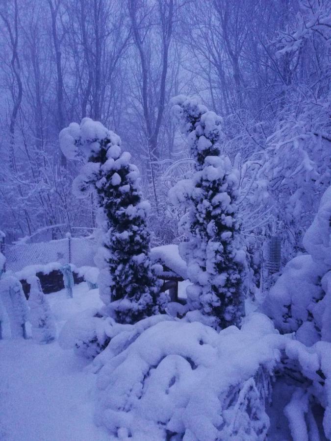 Chata Korenný vrch Pezinská Baba Pezinok Exterior foto